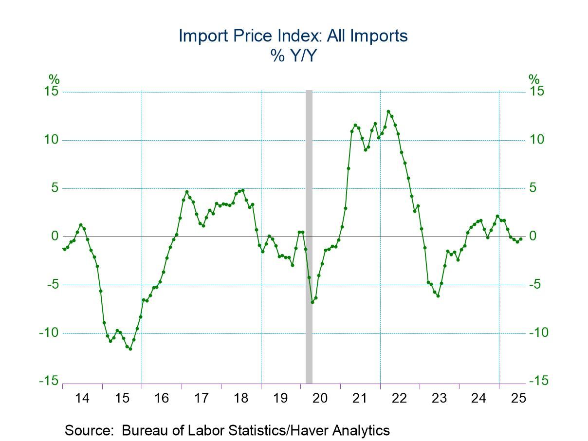 U.S. Import Prices Rebounded in July