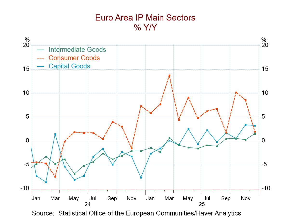IP in EMU Weakens in December; Sector Trends Show Slow or Erratic Improvements
