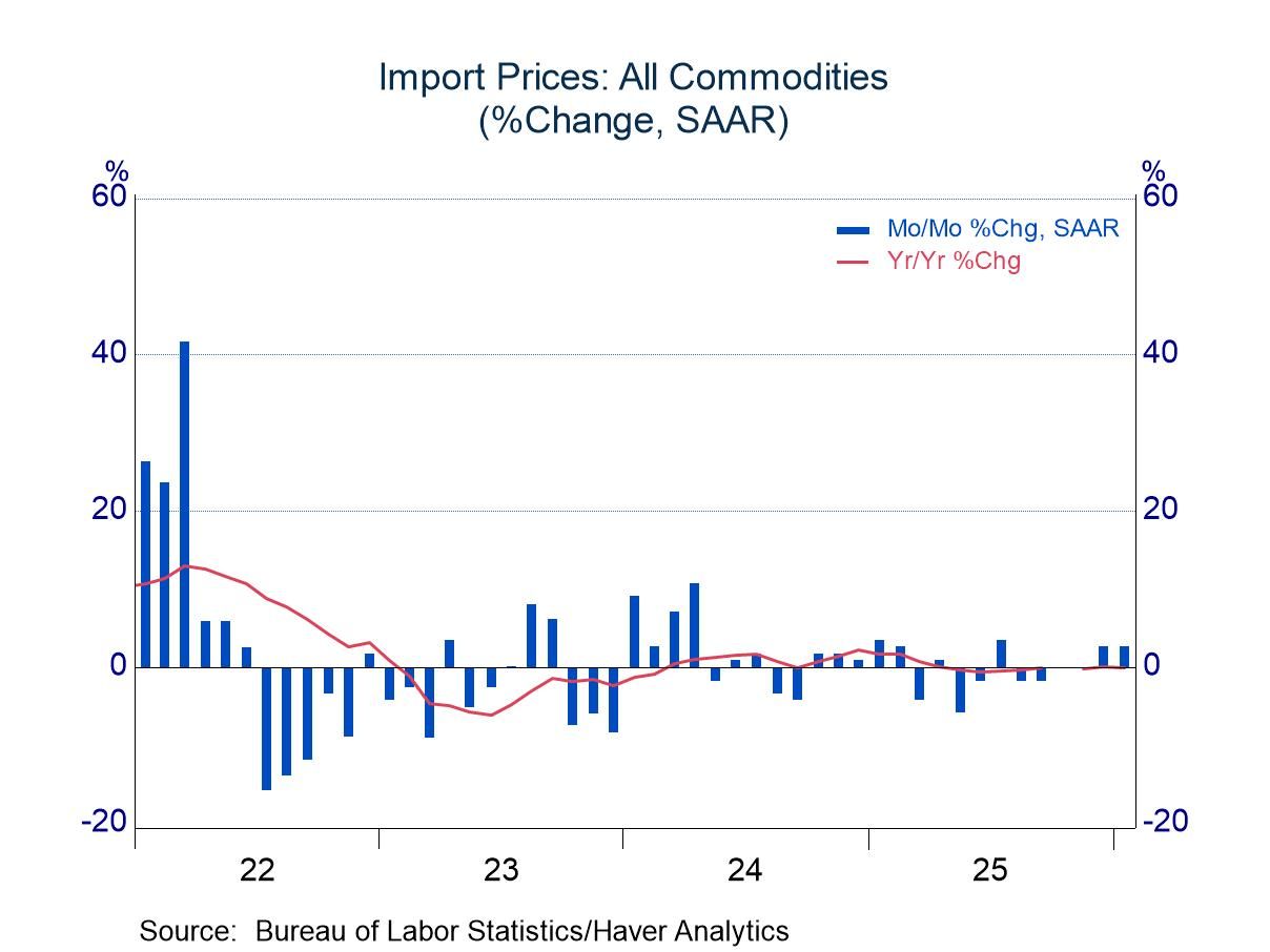 Export and Import Prices: Upward Pressure Points in January