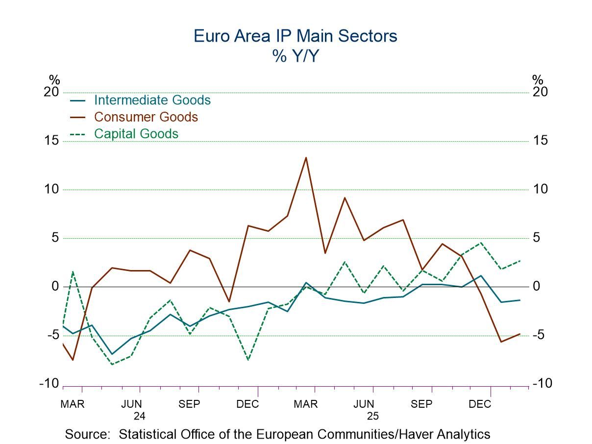 Euro Area IP Makes Modest Rebound—or Does it?
